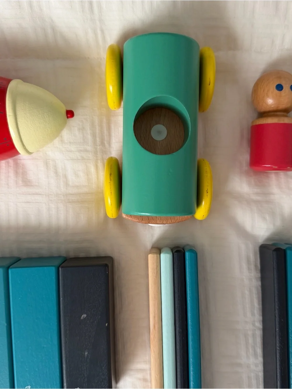 Tegu wooden magnet